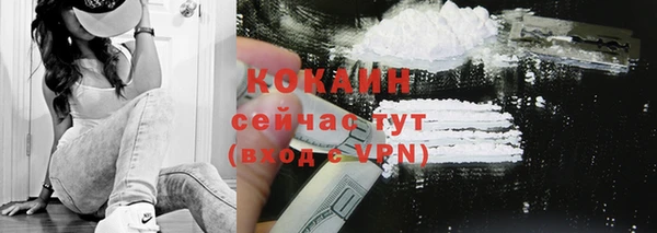 СК Новозыбков