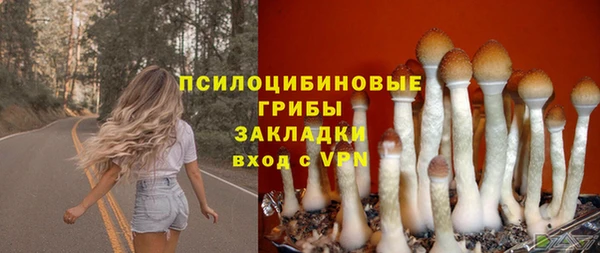 тгк Новокубанск